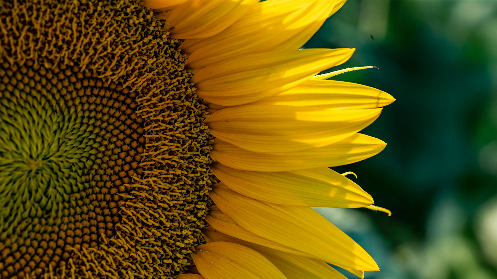 banner01