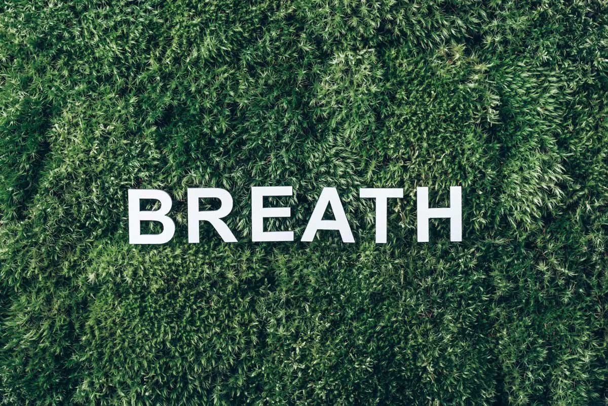 bewust ademen breath