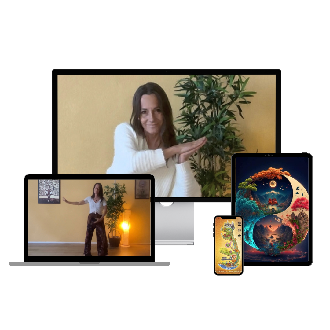 Online Trainingen 2 tao qigong en evt interne alchemie